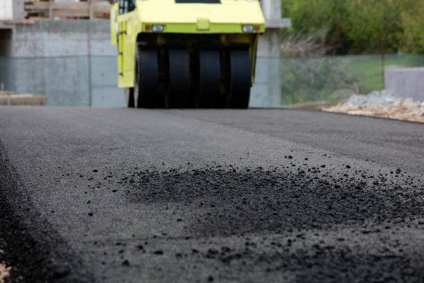 Best Affordable Driveway Pavers  in Lovelock, NV